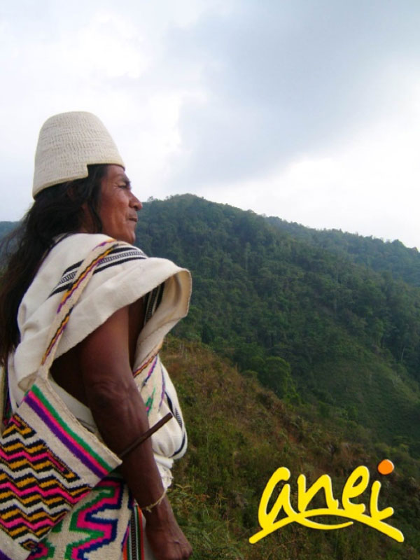 Projekt 2017/2018: producteurs de café en Colombie